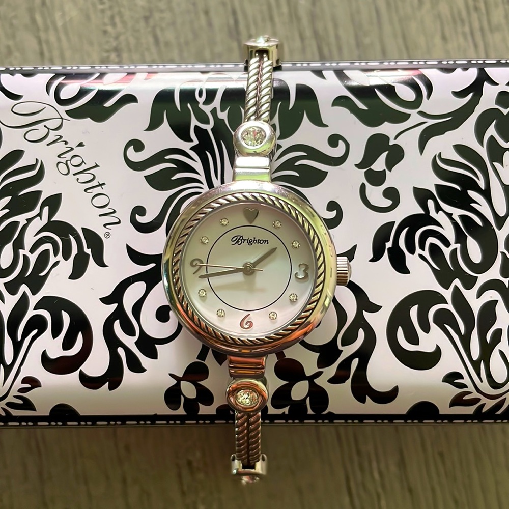 Brighton Watch